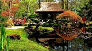 japanese-garden